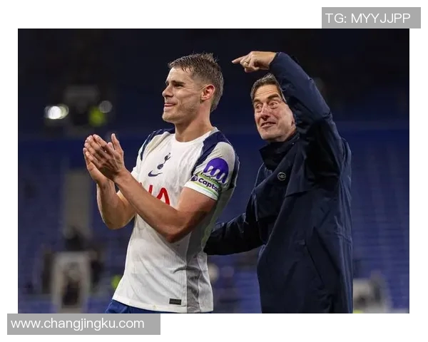 热刺与埃弗顿最新数据分析及比赛前瞻全面解读