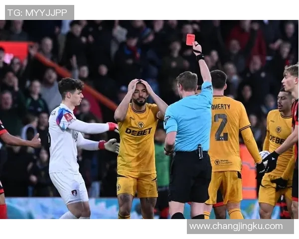 狼队与埃弗顿精彩对决视频回顾及赛后分析